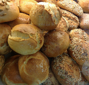 Lorem Ipsum - Lorem ipsum dolor sit amet, mel et lorem fastidii offendit, cum graecis feugait ad.