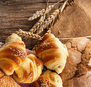 Lorem Ipsum - Lorem ipsum dolor sit amet, mel et lorem fastidii offendit, cum graecis feugait ad.