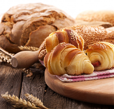 Lorem Ipsum - Lorem ipsum dolor sit amet, mel et lorem fastidii offendit, cum graecis feugait ad.