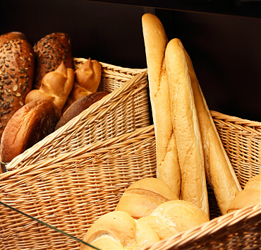 Lorem Ipsum - Lorem ipsum dolor sit amet, mel et lorem fastidii offendit, cum graecis feugait ad.